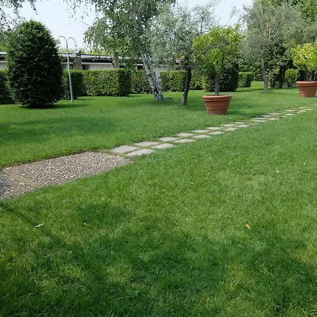 Il Tulipano